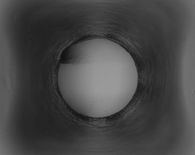 X0000100501201200806130723