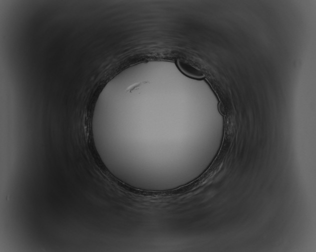 X0000100501202200806130723
