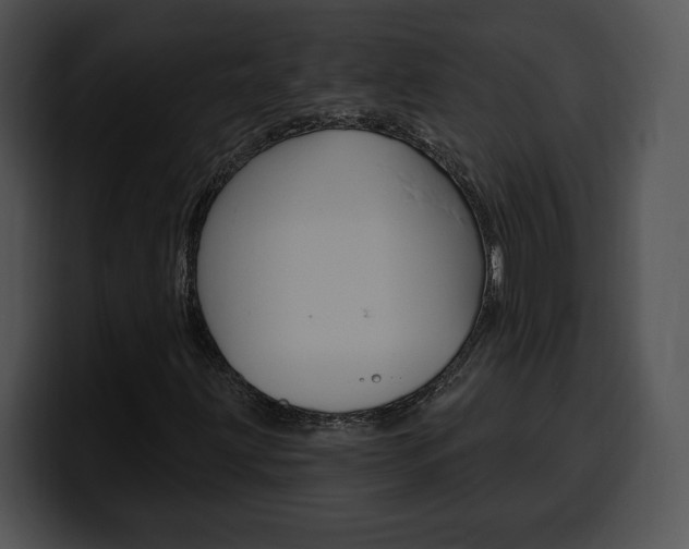 X0000100501203200806130723