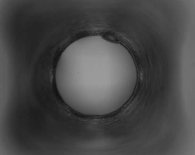 X0000100501204200806130723