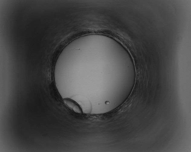 X0000100501205200806130723