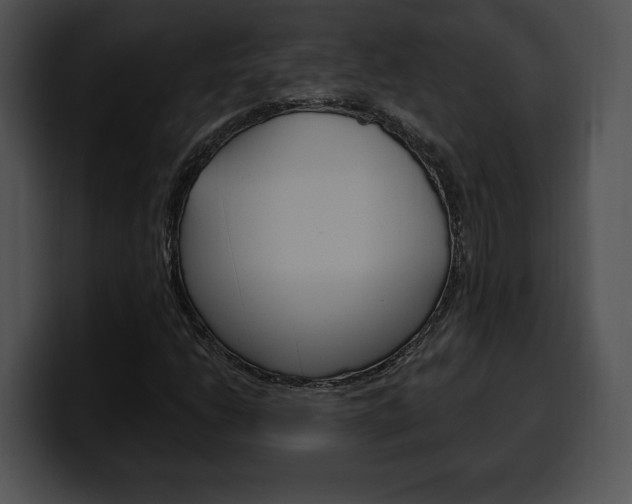 X0000100501206200806130723