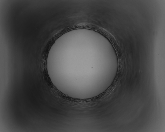 X0000100501207200806130723