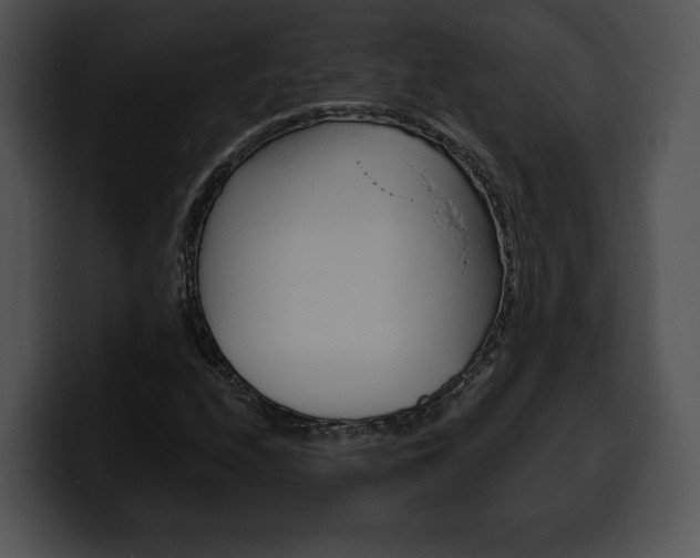 X0000100501208200806130723