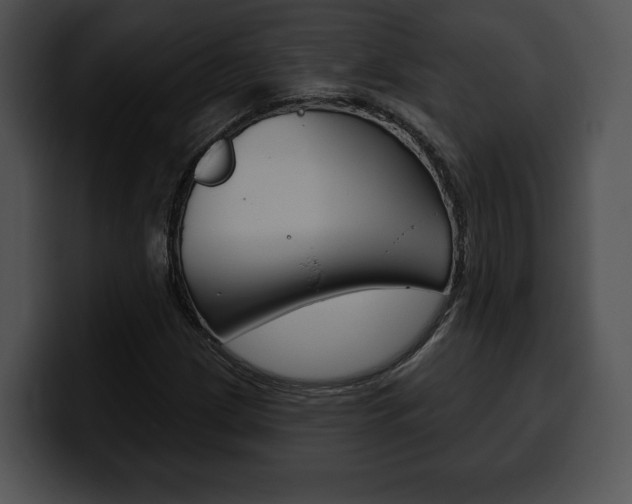 X0000100501209200806130723