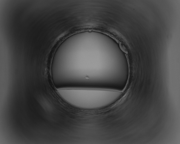 X0000100501210200806130723