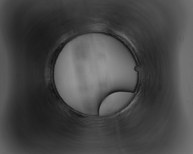 X0000100501211200806130723