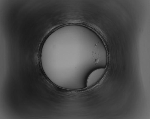 X0000100501212200806130723