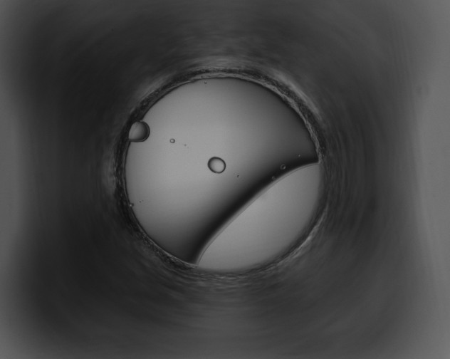 X0000100501213200806130723