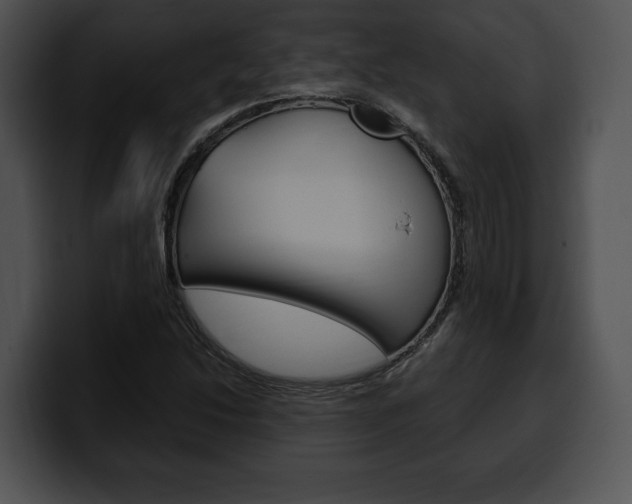 X0000100501214200806130723