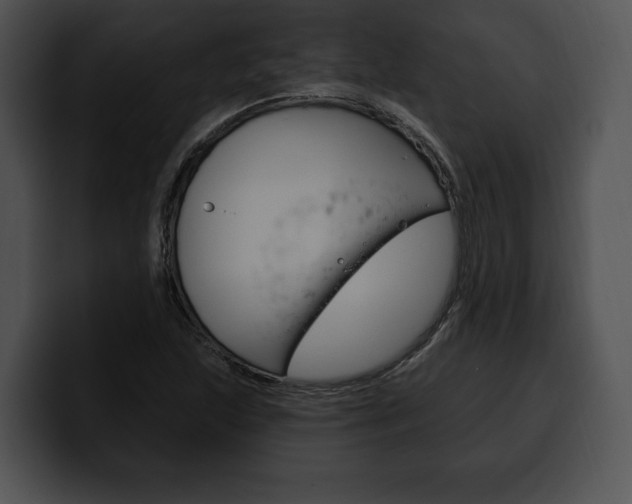 X0000100501215200806130723