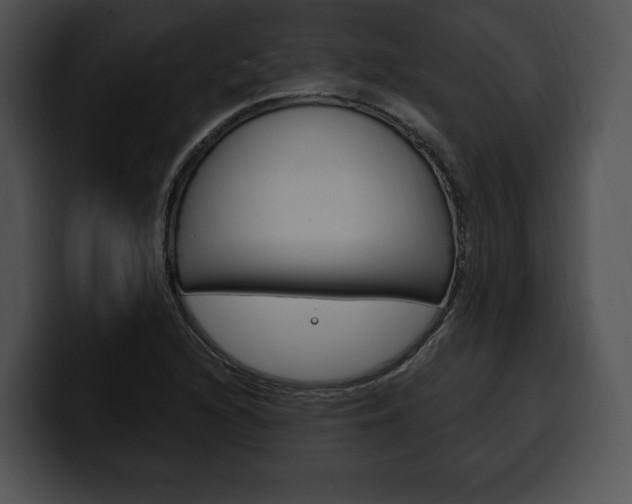 X0000100501216200806130723