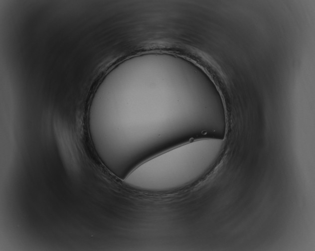 X0000100501217200806130723