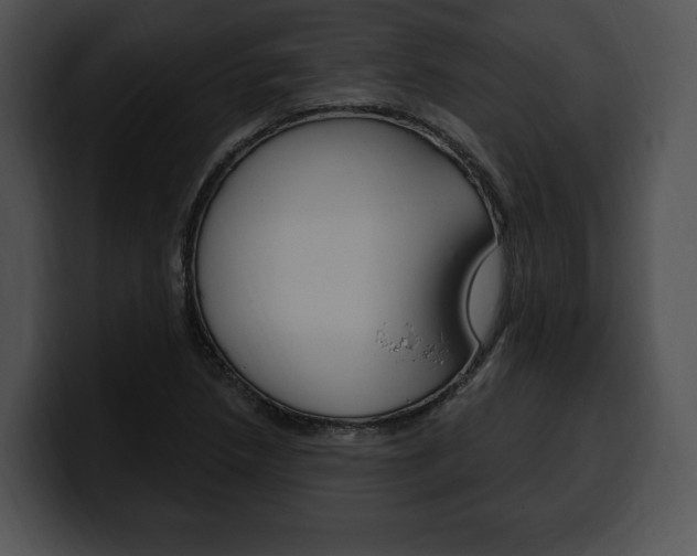 X0000100501218200806130723