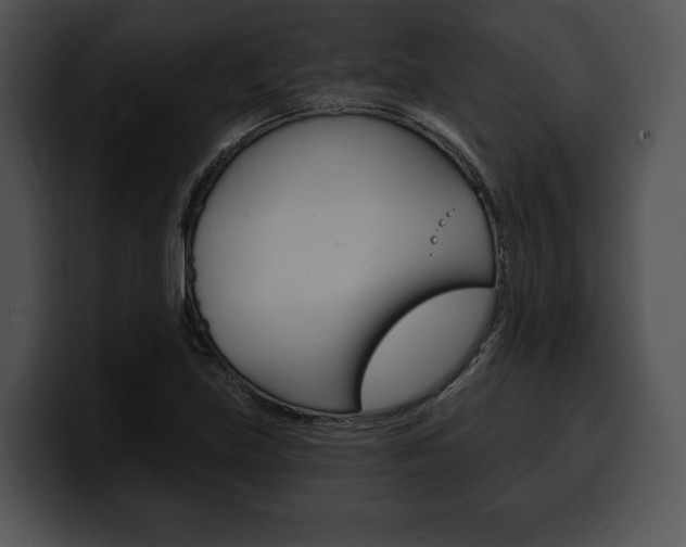 X0000100501219200806130723