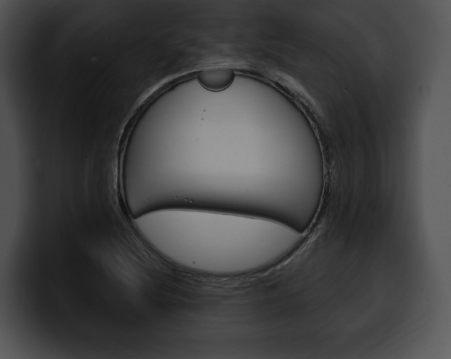 X0000100501220200806130723
