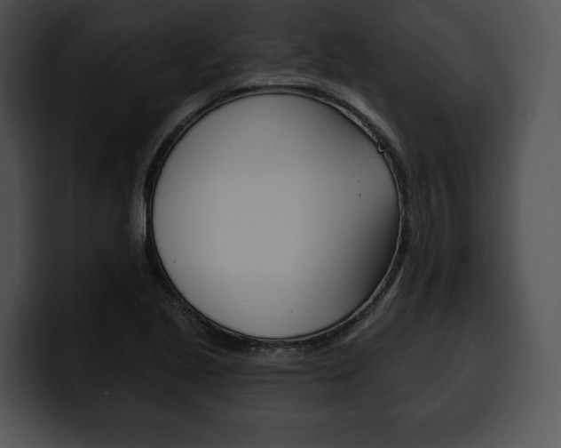 X0000100501221200806130723