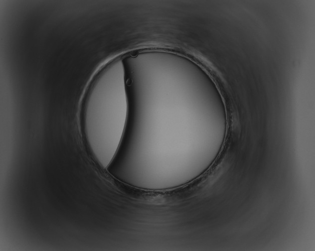 X0000100501222200806130723