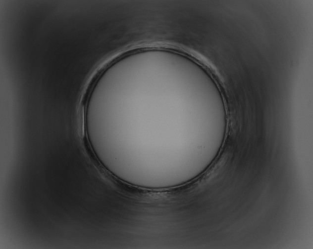 X0000100501223200806130723