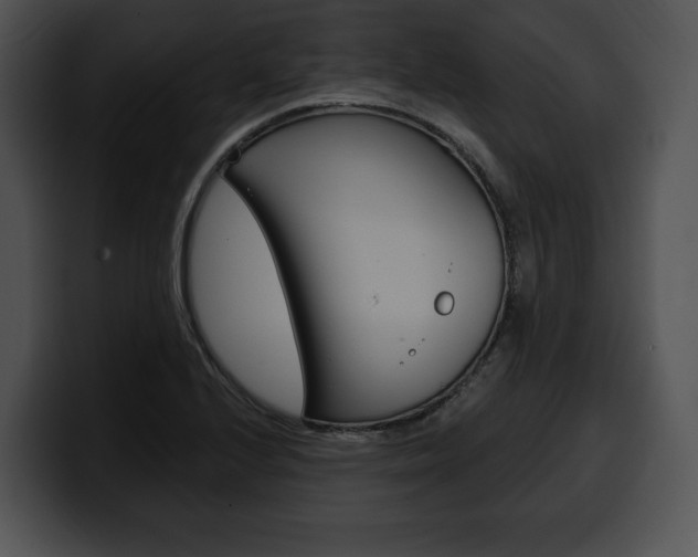X0000100501224200806130723