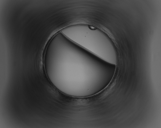 X0000100501226200806130723