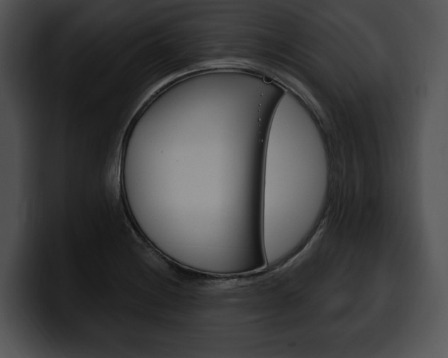 X0000100501228200806130723