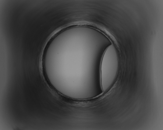 X0000100501229200806130723
