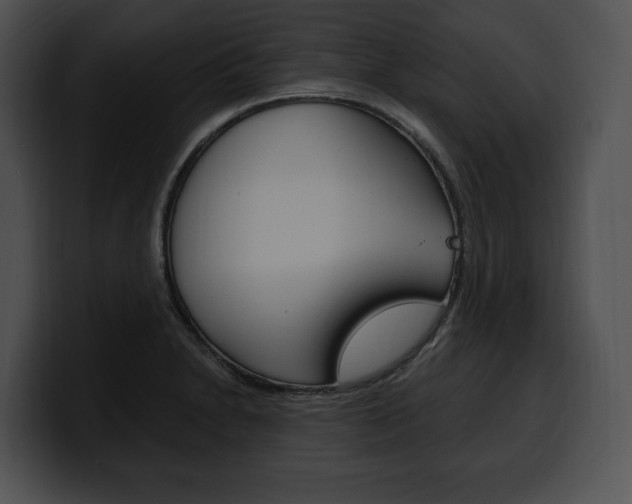 X0000100501230200806130723
