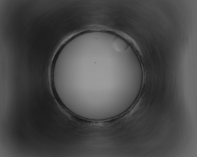 X0000100501231200806130723