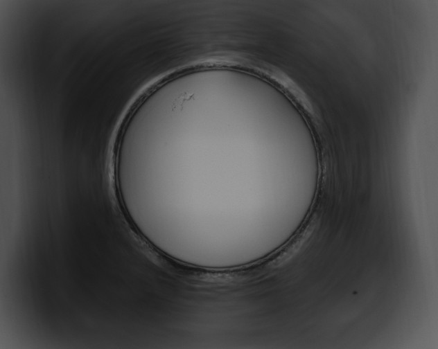 X0000100501232200806130723