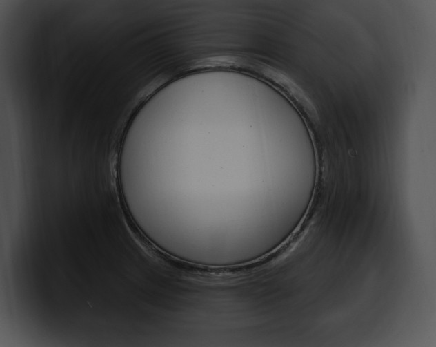 X0000100501233200806130723