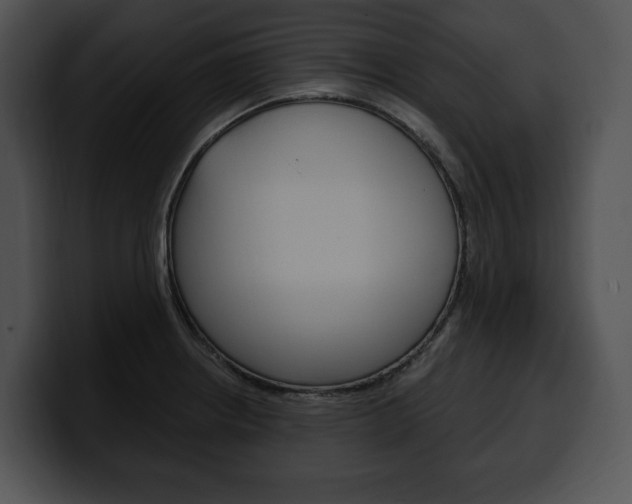 X0000100501234200806130723
