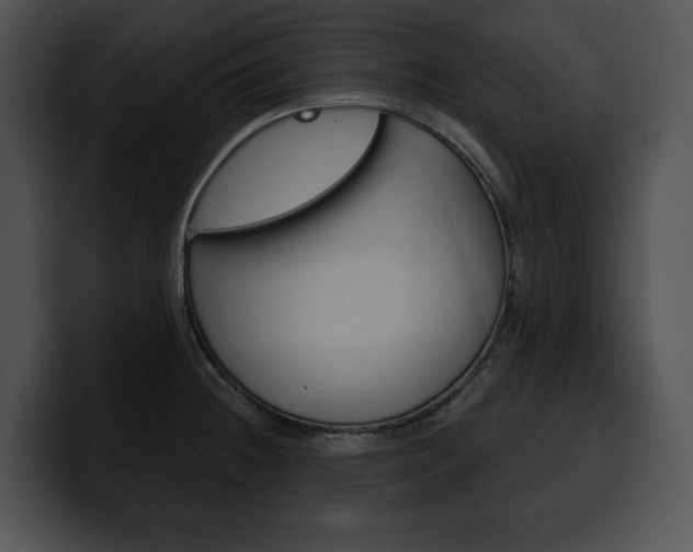 X0000100501236200806130723