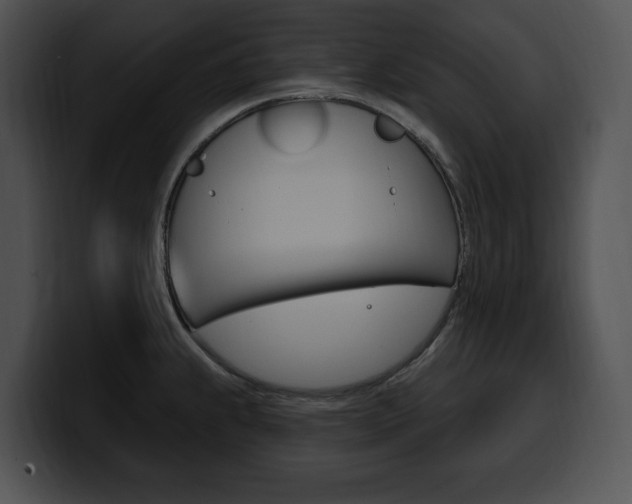 X0000100501239200806130723