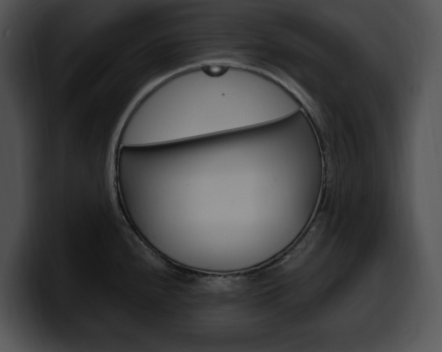 X0000100501240200806130723