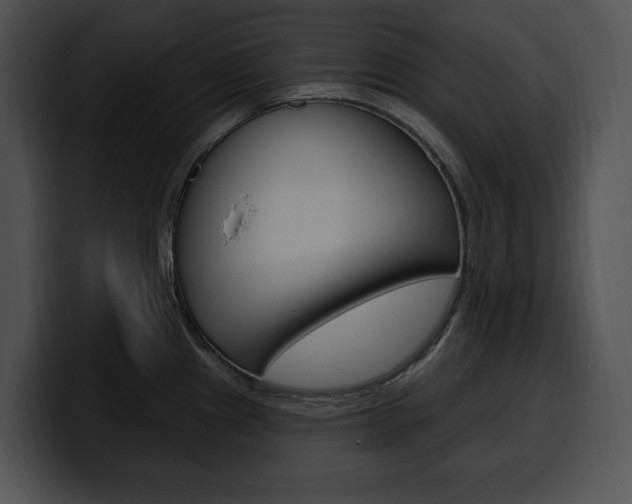 X0000100501241200806130723
