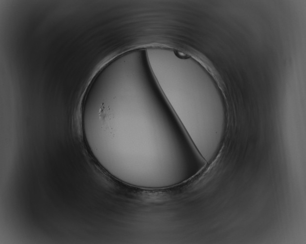 X0000100501242200806130723