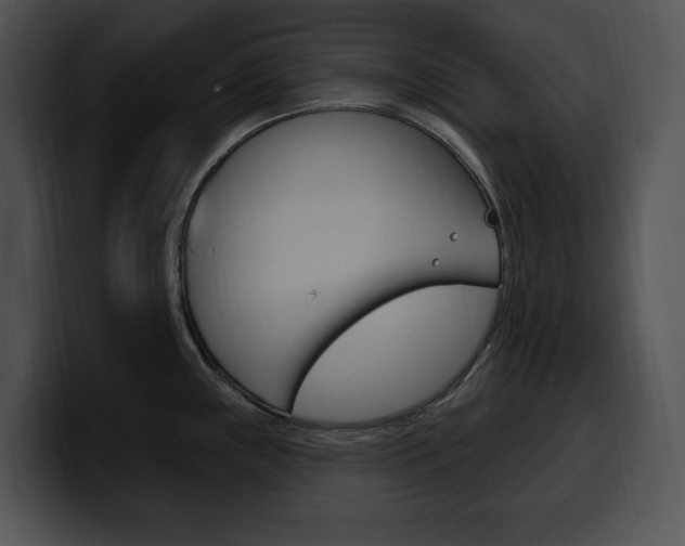 X0000100501243200806130723