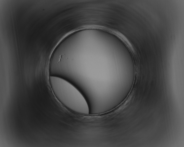X0000100501244200806130723