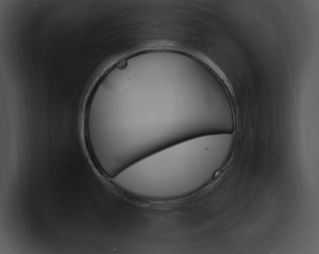 X0000100501245200806130723