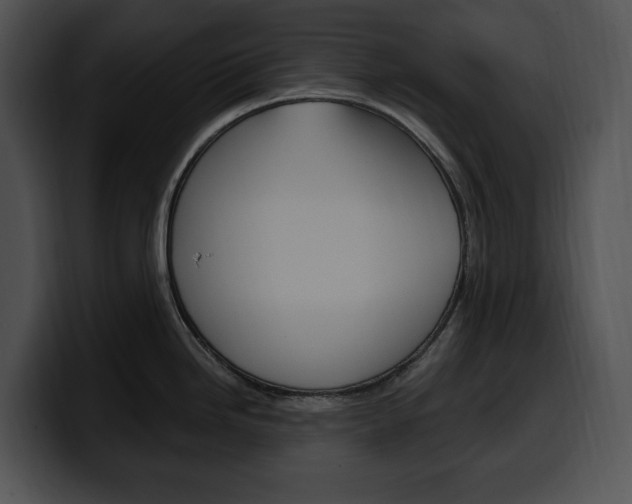 X0000100501246200806130723