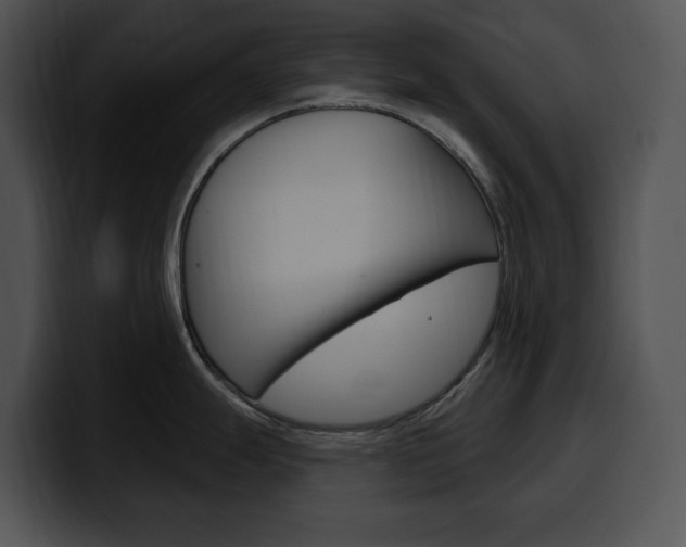 X0000100501247200806130723