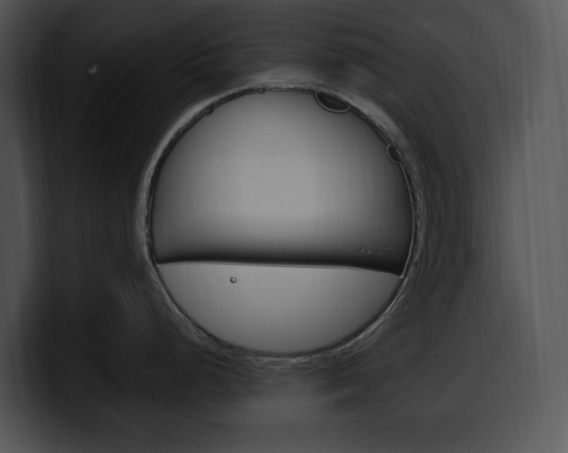 X0000100501248200806130723