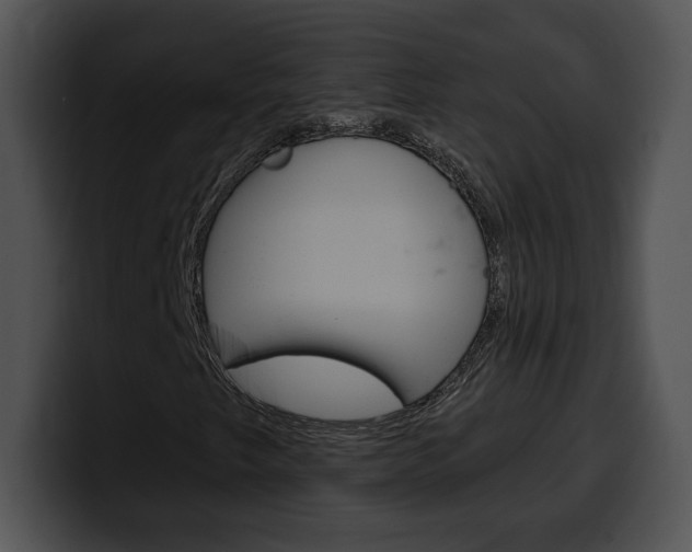 X0000100501249200806130723