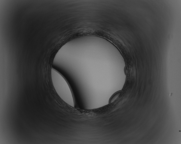 X0000100501250200806130723