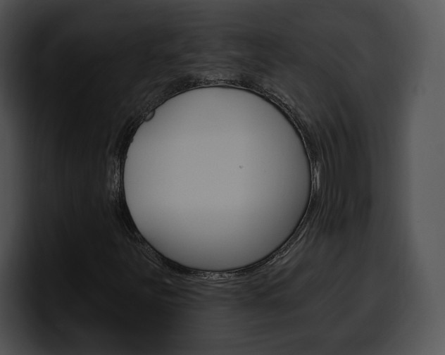X0000100501251200806130723
