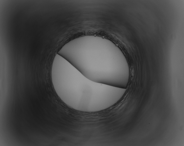 X0000100501252200806130723