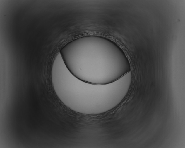 X0000100501253200806130723
