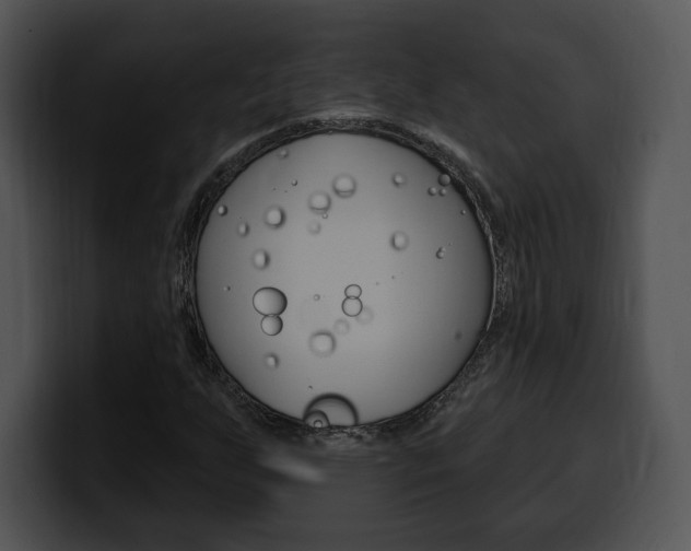 X0000100501255200806130722