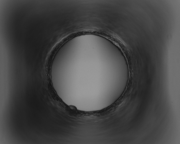 X0000100501256200806130722